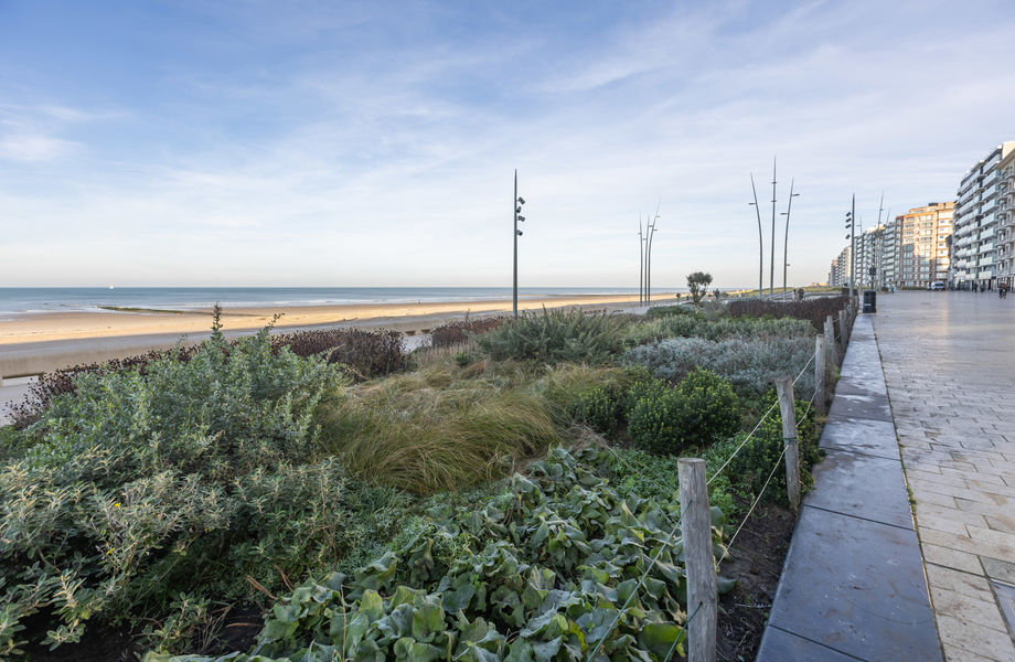 Appartement à vendre a Westende